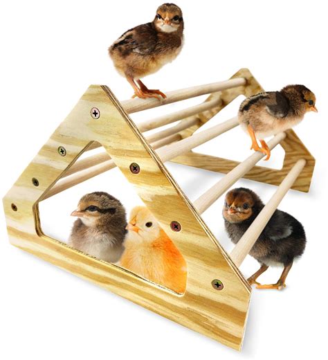 Buy Backyard Barnyard Chick Perch Strong Wooden Jungle Gym Roosting Bar Made In Usa Chicken