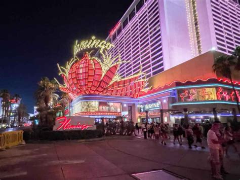 restaurants  bars   flamingo  las vegas
