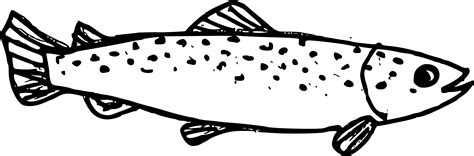 10 Fish Drawing (PNG Transparent) | OnlyGFX.com