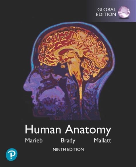 Marieb Elaine N Hoehn Katja Human Anatomy And Physiology Plus Pearson Masteringanatomy