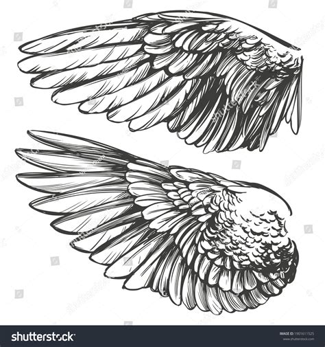 Angel Wings Bird Wings Collection Cartoon Stock Vector (Royalty Free ...