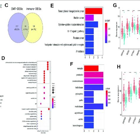 Identification Of Emt And Immune Related Genes And Functional