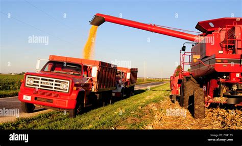 A Case Ih International Harvester Combine Harvests Corn And Offloads