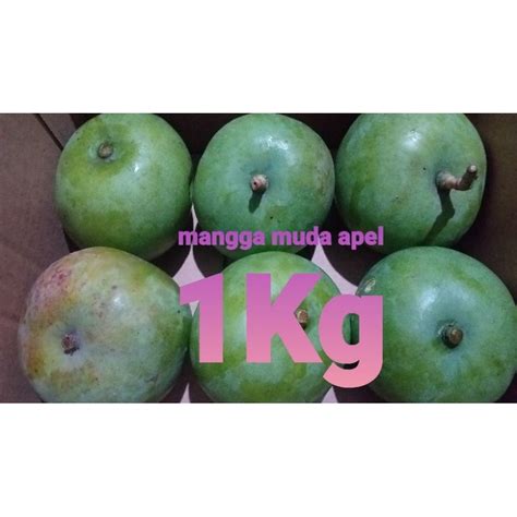 Jual Mangga Apel 1 Kgmangga Rujak Shopee Indonesia