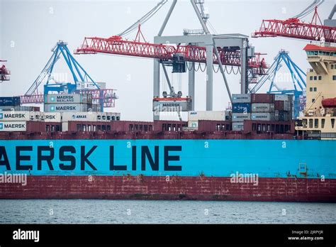 Container Ship Maersk In Port At Container Terminal Ships Of Container