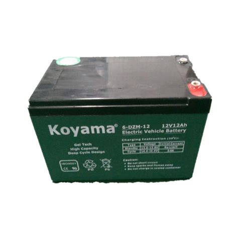 V Ah Dzm Koyama Gel Tech High Capacity Deep Cycle Design