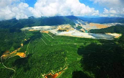 Amman Mineral Reklamasi 690 8 Hektare Lahan Bekas Tambang Batu Hijau