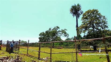 Timelapse Taman Wisata Alam Dan Cagar Alam Pananjung Pangandaran