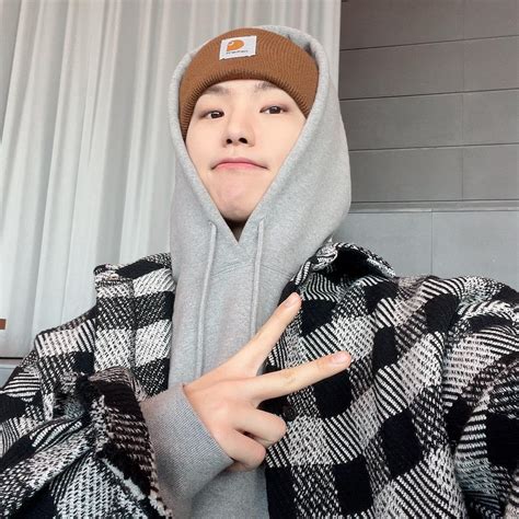 Seventeen Community Posts Hoshi