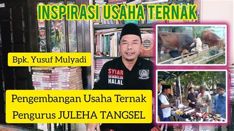 Inspirasi Usaha Ternak Pengembangan Usaha Ternak Hingga Pengurus