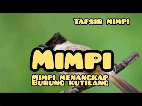 Mimpi Menangkap Burung Kutilang 13 YouTube