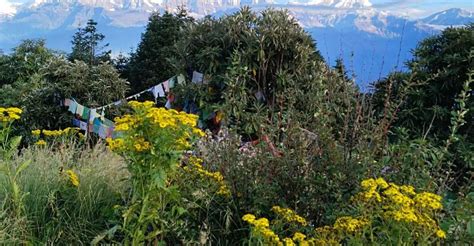 From Pokhara Days Ghorepani Poon Hill Trek