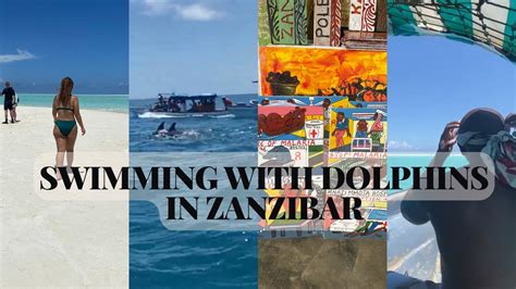 Swimming With Dolphins In Zanzibar Nakupenda Sandbank And Stone Town