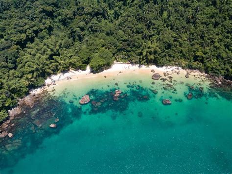 Ubatuba Como O Passeio Para A Ilha Das Couves