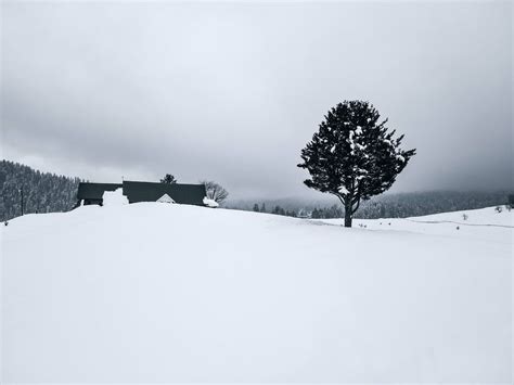 Greyscale Photo of Snow Field and House Painting · Free Stock Photo