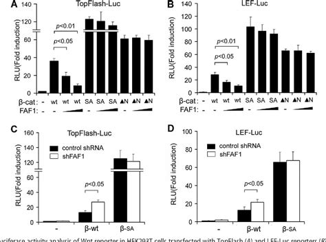 Figure 1 From Fas Associated Factor 1 Is A Scaffold Protein That