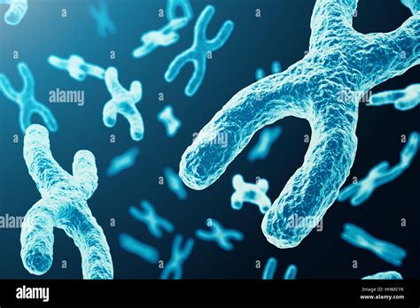 Cromosomas Xy Como Concepto De Biolog A Humana S Mbolo M Dico Terapia