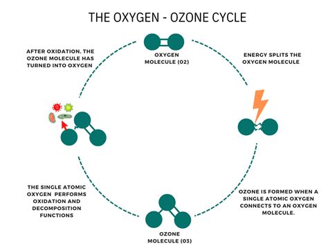 Ozone Cycle