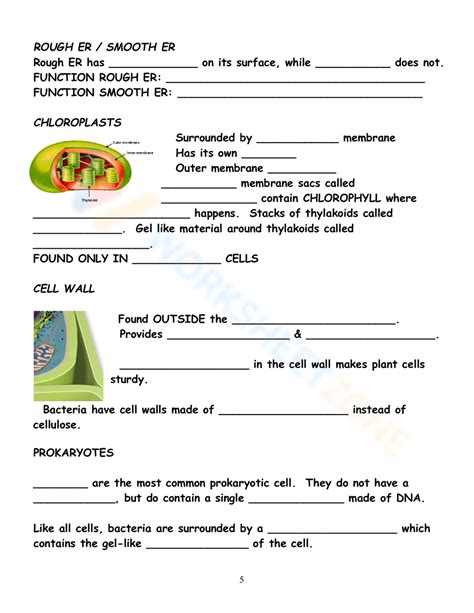 Prokaryotic Cell Diagram Worksheet