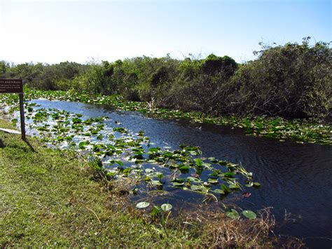 Shark-Valley-Visitor-Center-Everglades-National-Park-Miami-FL-013