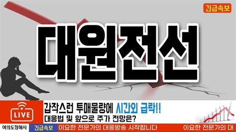 대원전선 갑작스런 투매물량에 시간외 급락 대응법 및 앞으로 주가 전망은 Youtube