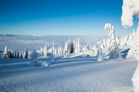 Winter Dreams Big White Ski Resort Ltd