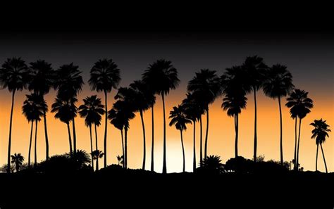 Premium Photo Tropical Silhouettes Palm Trees In Twilight