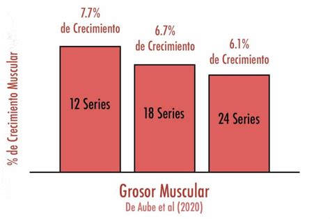 Cuántas series y repeticiones por grupo muscular Squad Fitness