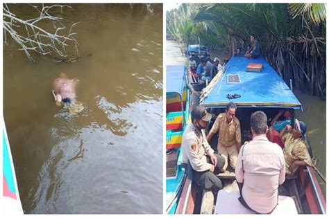 Diterkam Buaya Saat Jaring Ikan Nelayan Tewas Dengan Tangan Hilang