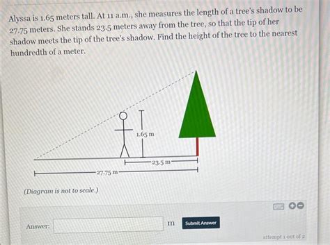 Solved Alyssa Is Meters Tall At A M She Measures Chegg