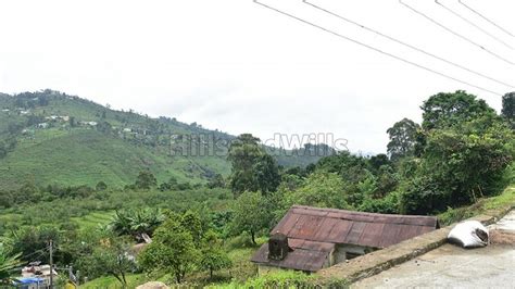 95 Lac 11 5 Cents Residential Plot For Sale In Shenbaganur Kodaikanal