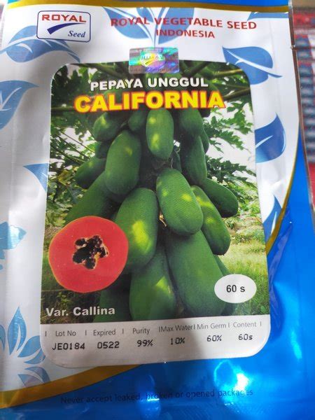 Jual Bibit Benih Pepaya California Unggul Di Lapak Rizal Mocca Bukalapak