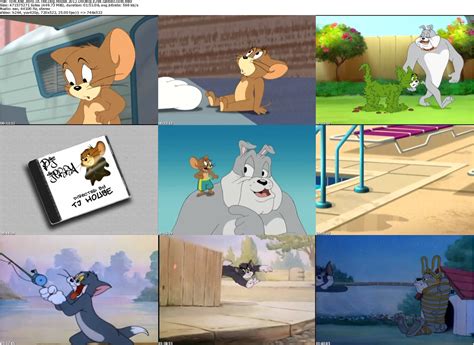 Quickmedia Tom And Jerry In The Dog House 2012 Dvdrip 450mb Mediafire