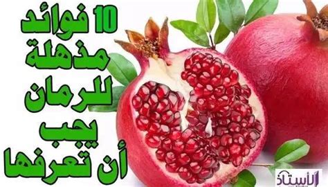 اكتشفي فوائد الرمان الصحية المذهلة Fruit Food Blackberry