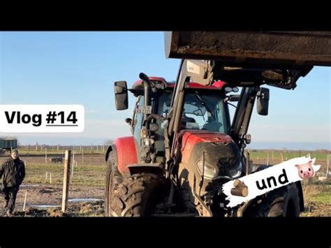 FarmVLog 14 Arbeiten Im Schweinestall Holzverkaufen YouTube