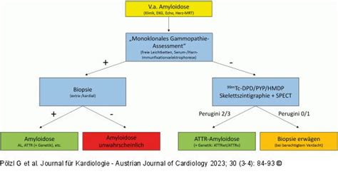 Abbildung 4 Kardiale Amyloidose