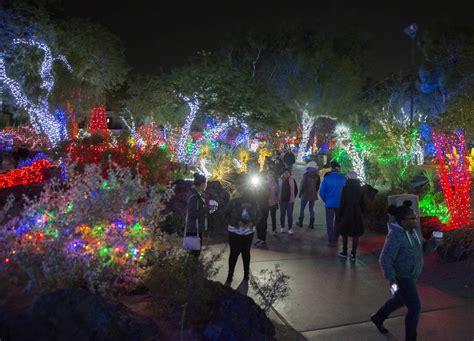 Ethel Ms Holiday Cactus Garden Lights Up The Las Vegas Valley — Video