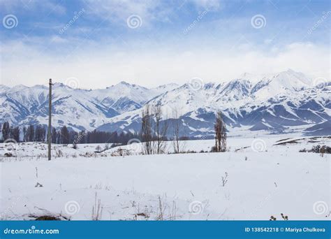 Tien Shan Mountains stock photo. Image of outdoor, cold - 138542218