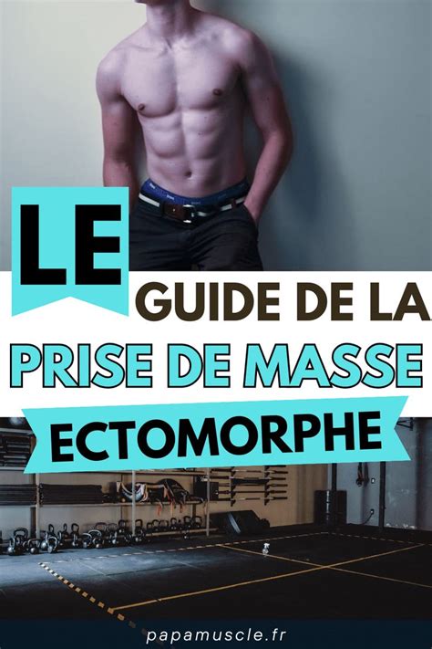 Le Guide De La Prise De Masse Ectomorphe Muscles Guide Strength