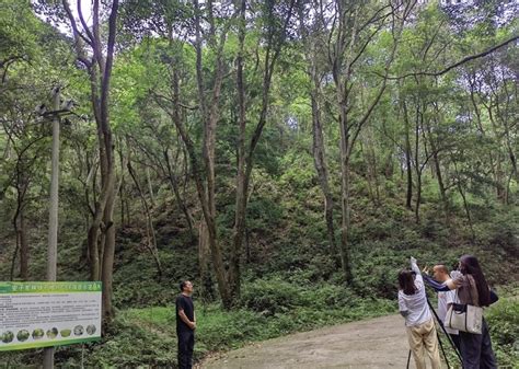 省林业生态工程建设中心到安远县安子岽林场采景 Isenlincn