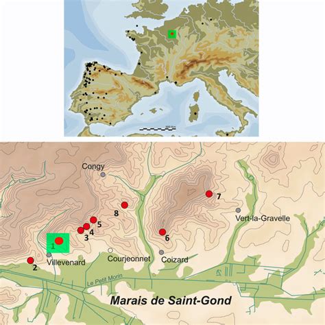 Top: Map of painted megaliths in Europe, from Bueno-Ramírez et al ...