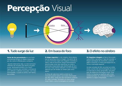 Infográficos De Tudo Junho 2011