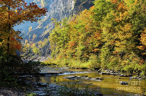 Taughannock Creek In The Fall Photograph By Bob Phillips Fine Art America