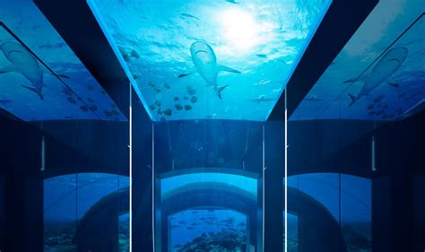 9 Maldives Hotels with Underwater bedrooms, Spa and Restaurants | 2022