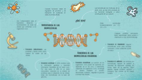 Biomoleculas Mapa Mental Porn Sex Picture Sexiz Pix