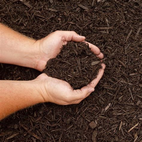 Mulch Soil Burger Farms