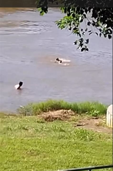 Vídeo mostra jovem sendo salvo de afogamento no interior de Rondônia