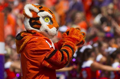 Clemson Football Vs Louisville Tiger Tidbits