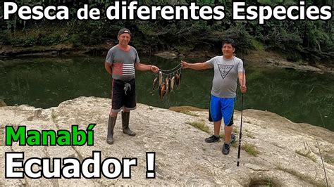 Pesca de Sabaletas Lisa y Bantes en un rio de Manabí Ecuador YouTube