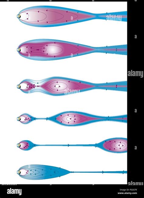 Physics - Plasmoid formation. Color diagram Stock Photo - Alamy